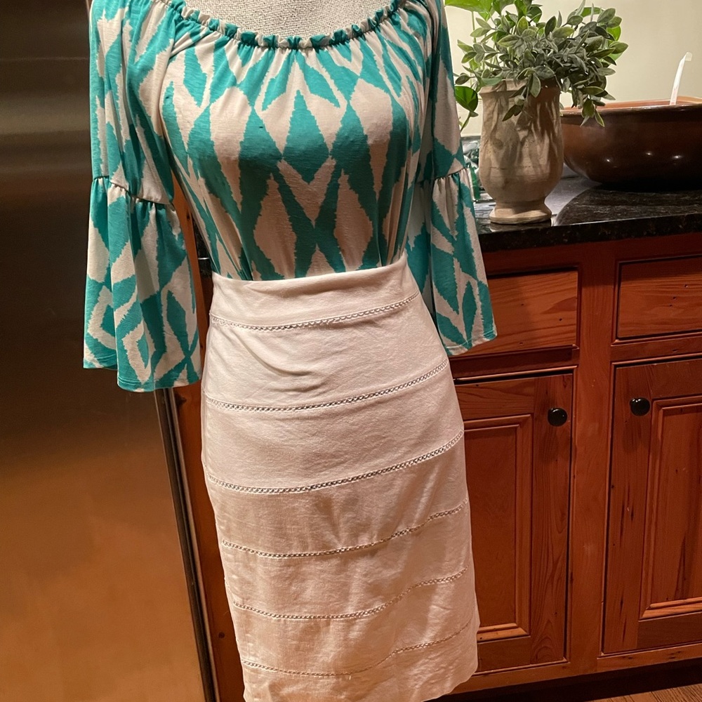 Career skirt and blouse